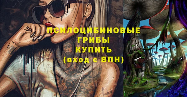 амф Алексеевка