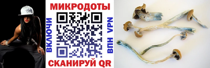 цена   Нарьян-Мар  Галлюциногенные грибы Psilocybine cubensis 