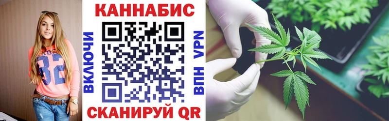 Бошки марихуана сатива  где можно купить наркотик  Нарьян-Мар 